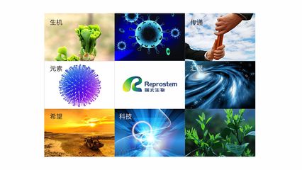 瑞太生物科技 推動生物技術創新，引領健康未來