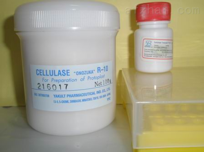 2-脫氧-D-核糖 信然生物科技的專(zhuān)業(yè)合成與應(yīng)用